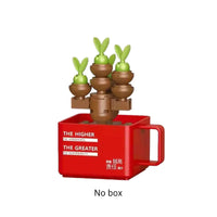 Cup Based Succulent Plants