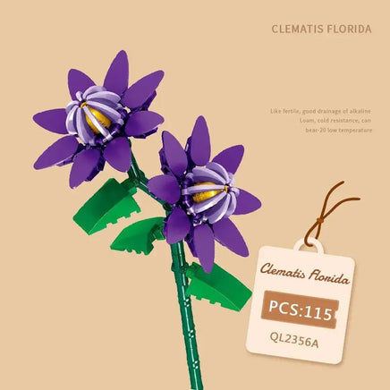 Clematis Florida