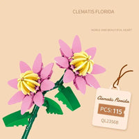 Clematis Florida