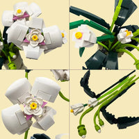 Butterfly Orchid 588PCS